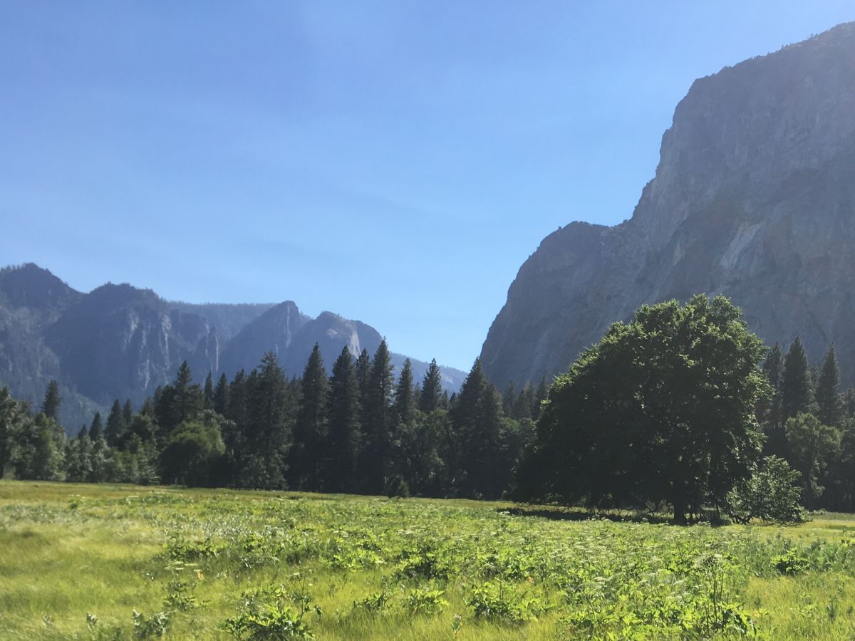 El Parque Nacional de Yosemite es el destino natural más popular de California.