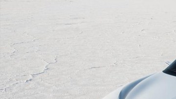 Un sueño con sangre mexicana.