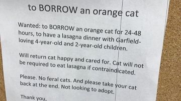 Una madre pide un gato prestado.