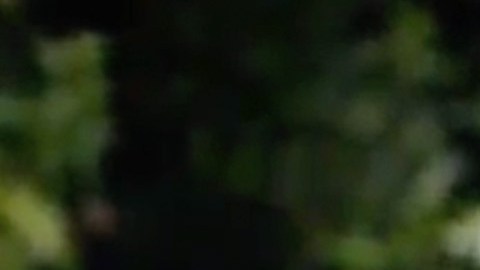 "La Diabla" en "Sin senos sí hay paraíso"