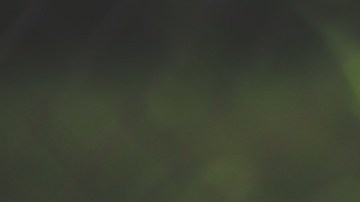 Carbón enfermedad cardiovascular