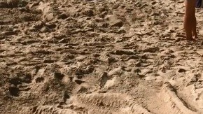 Un pulpo gigante se llevó el primer premio.