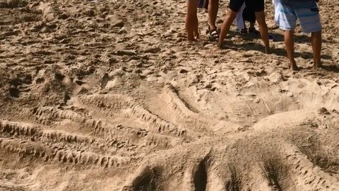 Un pulpo gigante se llevó el primer premio.