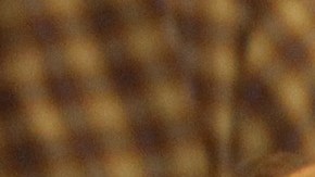 Una solicitante acude a un especialista en seguros médicos en la ciudad de Pasadena.