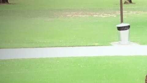 Dezirae Mendoza tenía dos hijos, de 4 años y 9 meses.