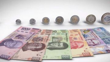 El Banco de México cambiará todos los diseños de los billetes.