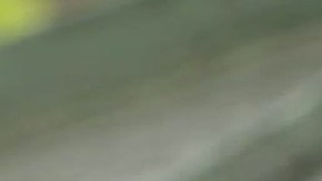 Encuentran una muñeca negra colgada de una soga en un parque.