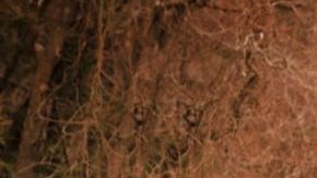 Nissan Versa.
Crédito: Cortesía Nissan.