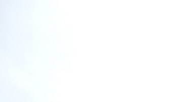 La empresa fue fundada en 1931 y se vendió por $205 millones de dólares a la empresa Lowe's en 2013, tras declararse en bancarrota.