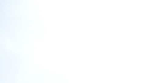 La empresa fue fundada en 1931 y se vendió por $205 millones de dólares a la empresa Lowe's en 2013, tras declararse en bancarrota.