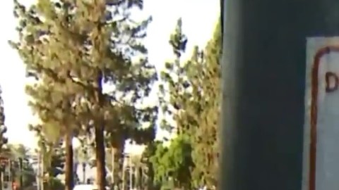 Los peatones empezarán a ser multados durante los próximos días.