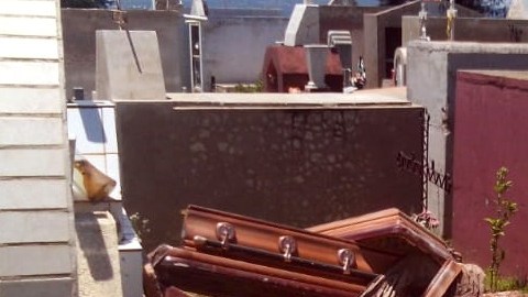 Los ladrones se llevan solamente las cabezas.