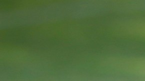 Andrés Rentería sufrió una distensión muscular y causó baja durante dos semanas