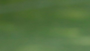 Andrés Rentería sufrió una distensión muscular y causó baja durante dos semanas