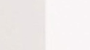 Mauricio Ochmann y Carmen Aub