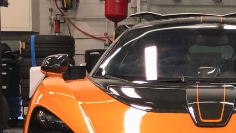 Salomondrin, figura de las redes sociales