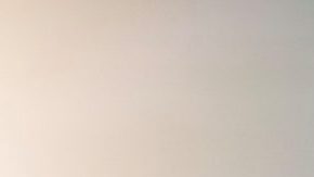 Líder en ventas en su segmento.