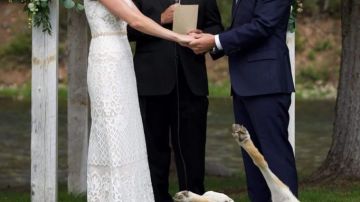 El perro decidió ser el protagonista del momento más importante de la ceremonia.