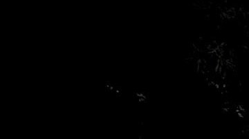 Las elecciones se llevan a cabo el martes 4 de junio. / foto: Archivo.