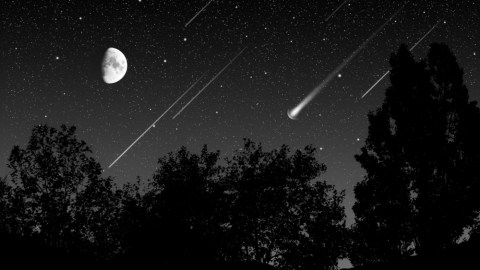 Las Perseidas