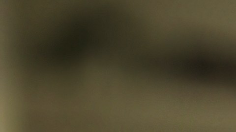 Facebook adquirió los derechos de retransmisión de la Champions League