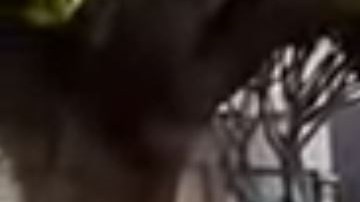 El suceso ocurrió en 2015, en Skid Row.