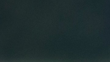 Leones Marinos. Steve Halama/UnSplash