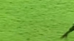 Una agresión artera se dio en la Copa Africana Sub 17.