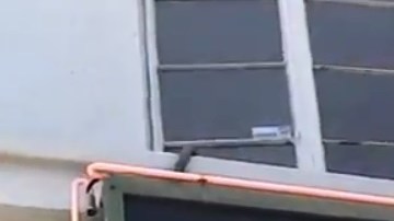 Shamrock Social Club.