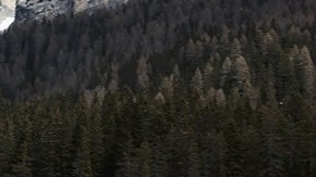 El conductor instaló un dispositivo para engañar el sistema de seguridad de Tesla