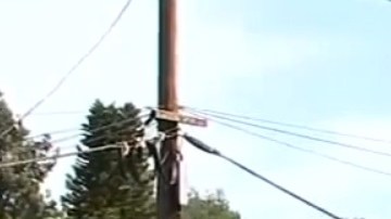 El mes pasado tuvo lugar un tiroteo fatal en el Trader Joe's de Silver Lake.