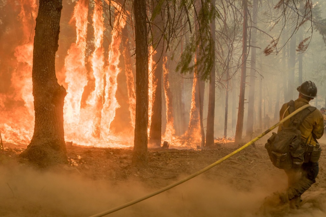 Los bomberos siguen batallando las llamas en Yosemite.