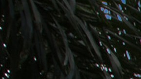 La propiedad está ubicada en la exclusiva comunidad privada de Palm Island.