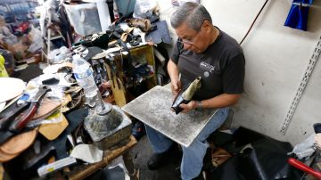 Adolfo “Fito” Vásquez lleva 52 años arreglando y fabricando zapatos, y no piensa retirarse, dice, hasta que las manos le empiecen a temblar. (Aurelia Ventura/La Opinion)