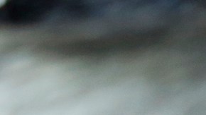 Los congresista Jimmy Gomez y Judy Chu y activistas de los derechos de los inmigrantes anunciaron una demanda pidiendo respuestas por el atraso en los pedidos de ciudadanía.  (Aurelia Ventura/La Opinion)