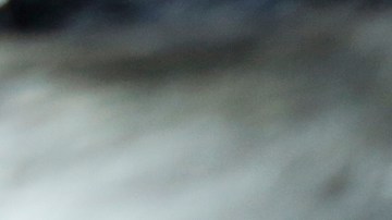 Los congresista Jimmy Gomez y Judy Chu y activistas de los derechos de los inmigrantes anunciaron una demanda pidiendo respuestas por el atraso en los pedidos de ciudadanía.  (Aurelia Ventura/La Opinion)