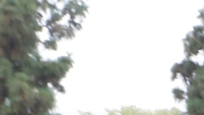 Alejandro Carrillo espera recibir la visa U que se otorga a las víctimas de crímenes violentos. (Aurelia Ventura/ La Opinion)