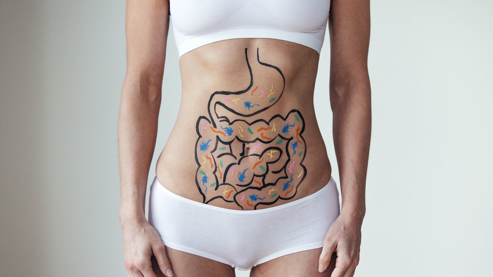 "Nuestro intestino tiene su propia autonomía para tomar decisiones", explica la doctora Rossi.