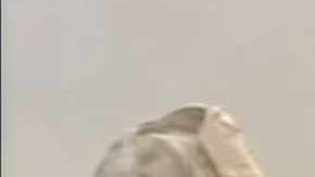 Es una secuencia de imágenes impactantes