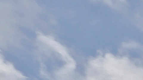 ACLU discutirá en tribunales casos de familias migrantes que no se les autoriza reunirse.