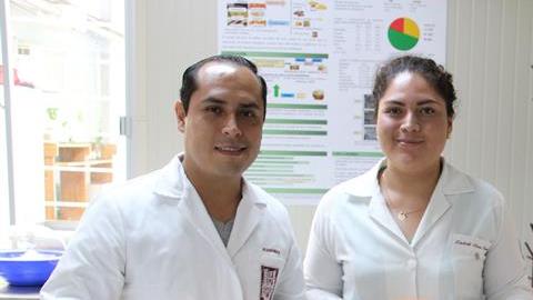 Cubiertos comestibles