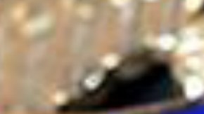 Bajo la presidencia de Trump, ha aumentado de 36 a 76 los acuerdos 287(g) con policías locales