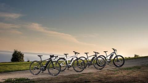 Los modelos disponibles