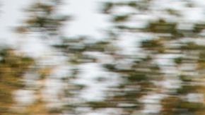 El Chevrolet Volt aparece en la lista de los más veloces... para revender