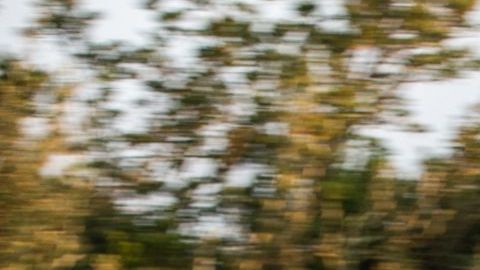 El Chevrolet Volt aparece en la lista de los más veloces... para revender