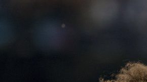 Mariano Díaz festeja su gol ante la Roma en Champions. (Foto: EFE/Rodrigo Jiménez)