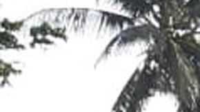 Casas en ruinas en Palu, Indonesia. EFE/