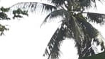 Casas en ruinas en Palu, Indonesia. EFE/