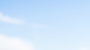 Tu perro disfrutará cada viaje