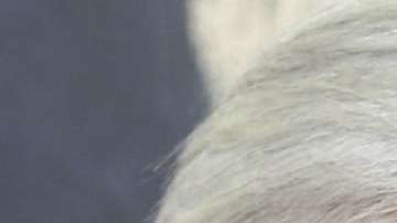 Ambos líderes han tenido comunicación vía telefónica.